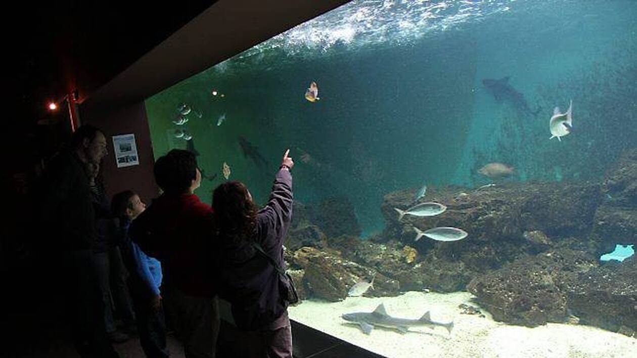 Aquarium le 7e continent