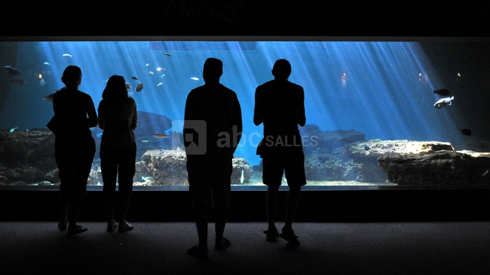 Aquarium le 7e continent