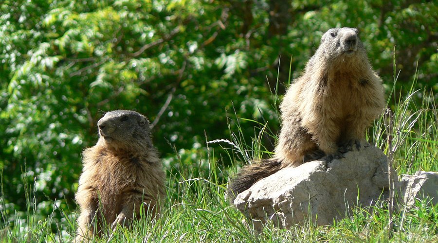 Parc animalier de la vallée sauvage
