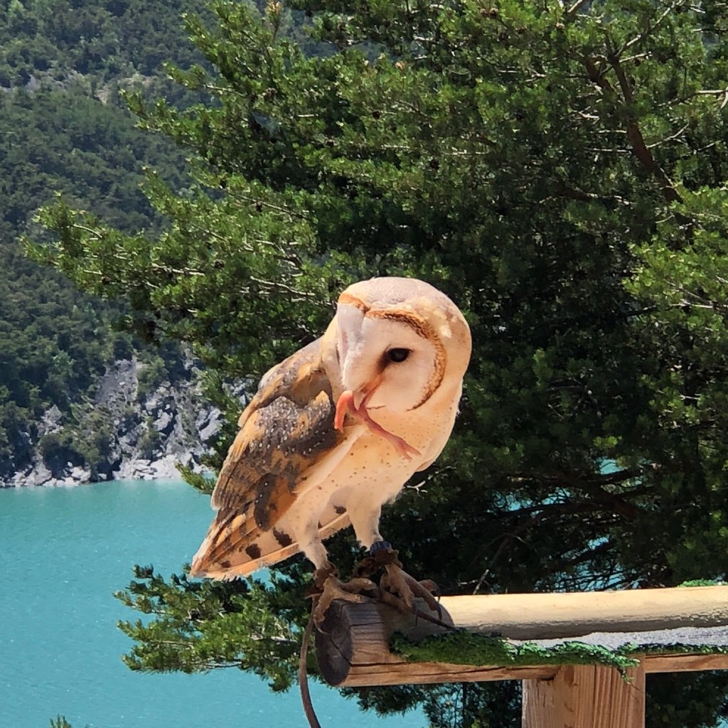 Parc animalier de Serre-Ponçon