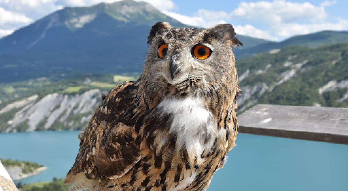 Parc animalier de Serre-Ponçon