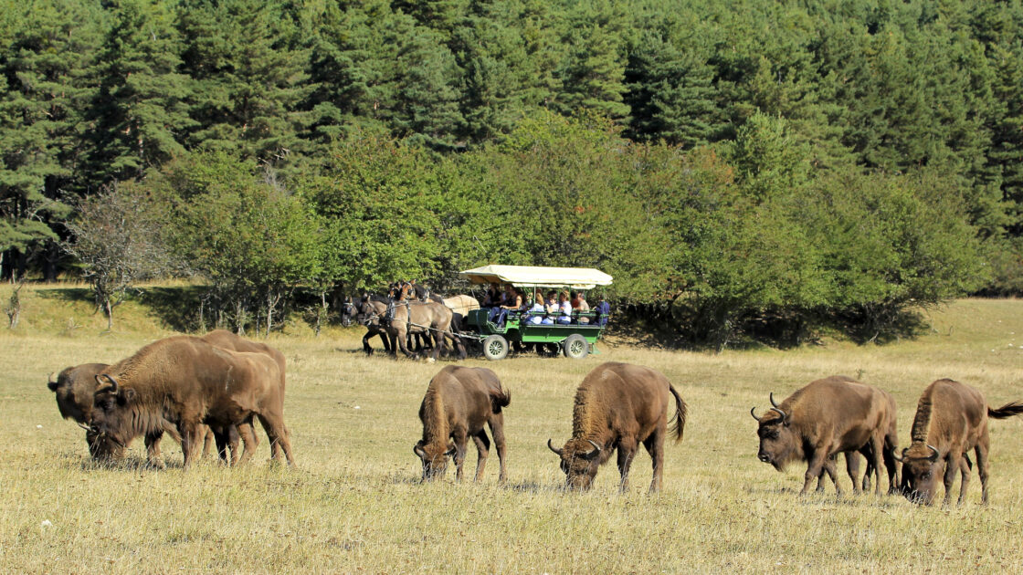Réserve biologique des monts d'Azur