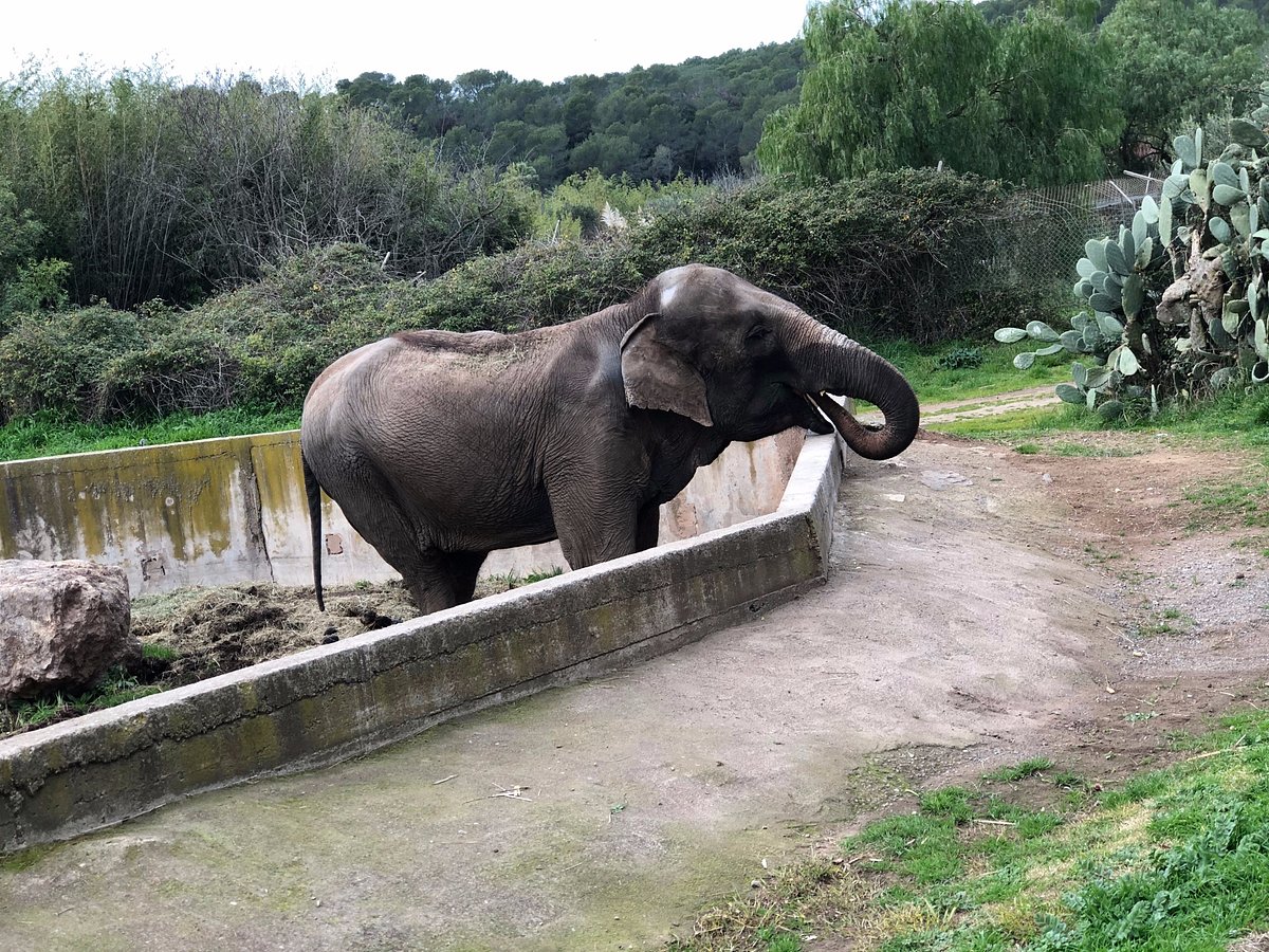 Parc zoologique de Fréjus