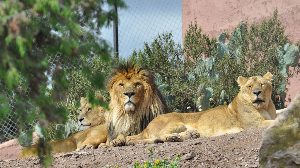 Parc zoologique de Fréjus