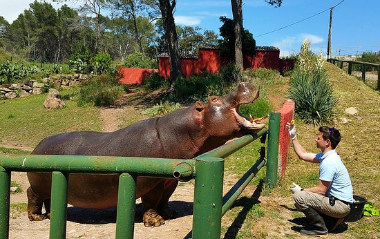 Parc zoologique de Fréjus