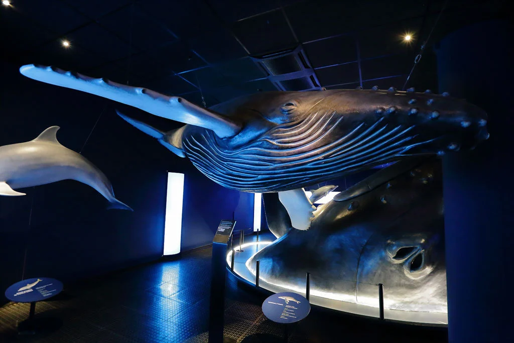 Aquarium de La Réunion