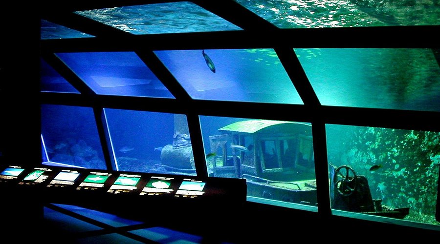 Aquarium de La Réunion