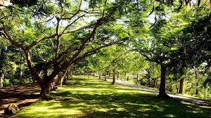 Parc zoologique et forestier Michel-Corbasson