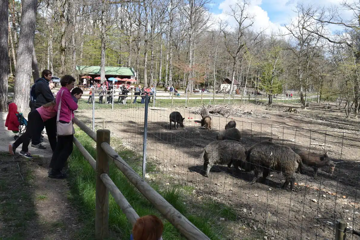 Parc animalier de La Bannie