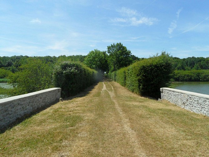 Pont Napoléon