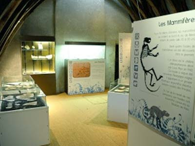 musée paléontologique