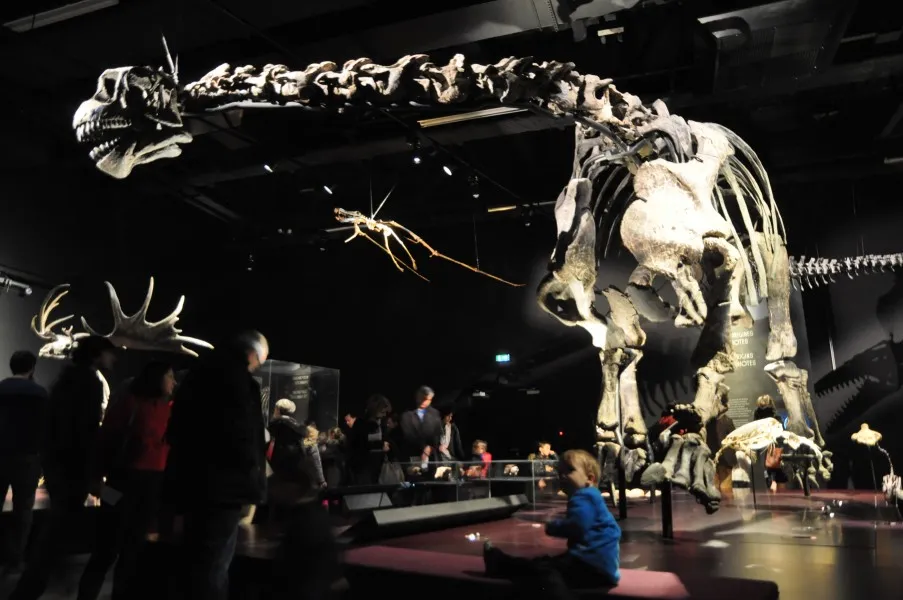 Musée des Confluences