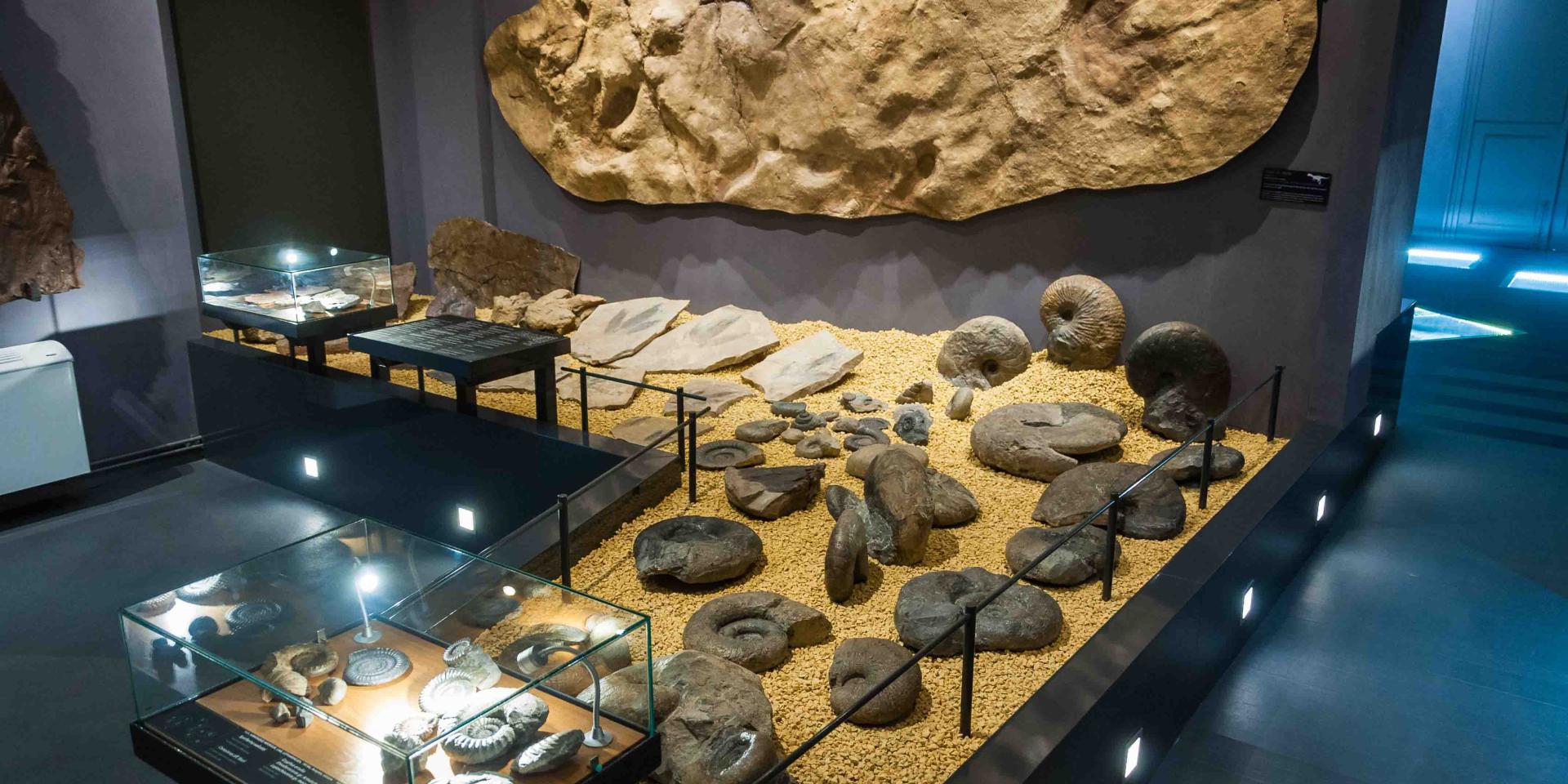 Musée de Millau et des Grands Causses