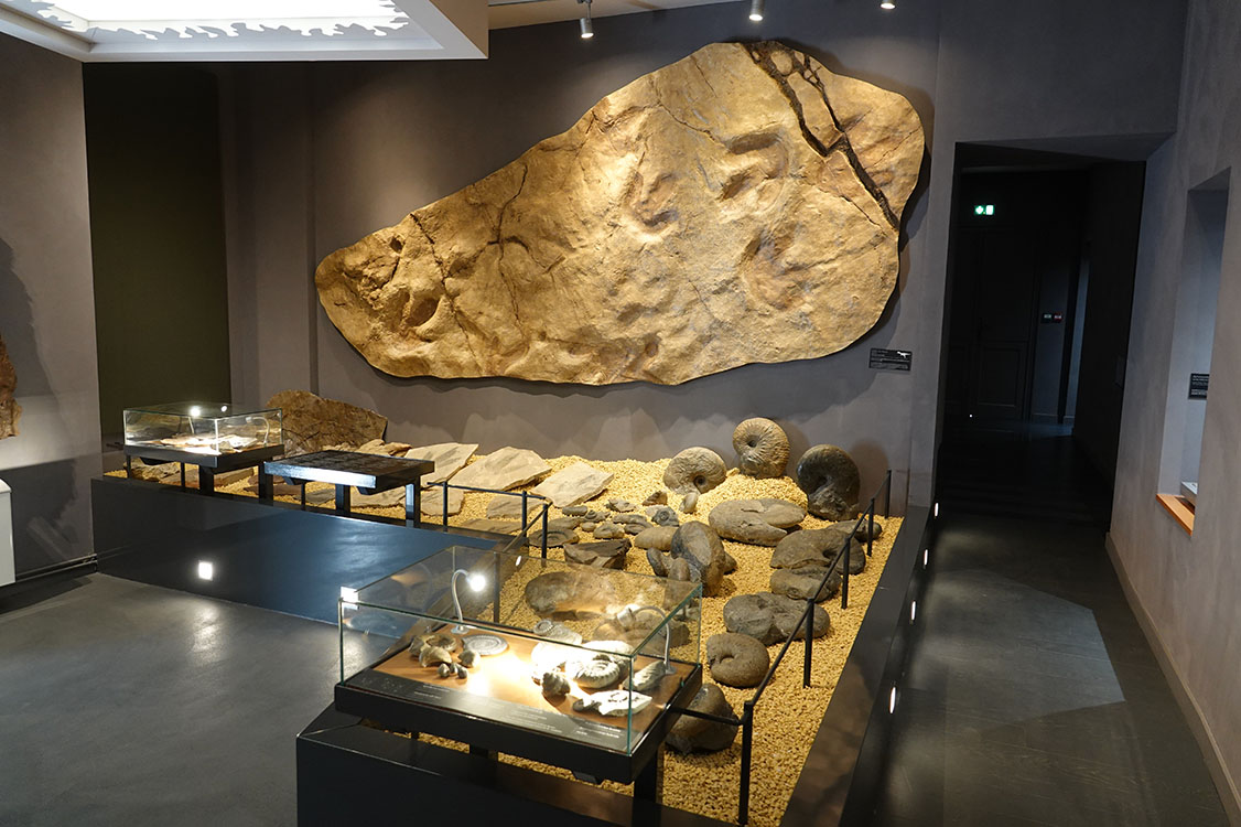 Musée de Millau et des Grands Causses