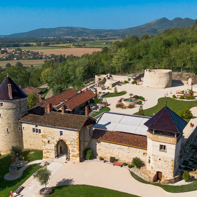 Château de Treffort