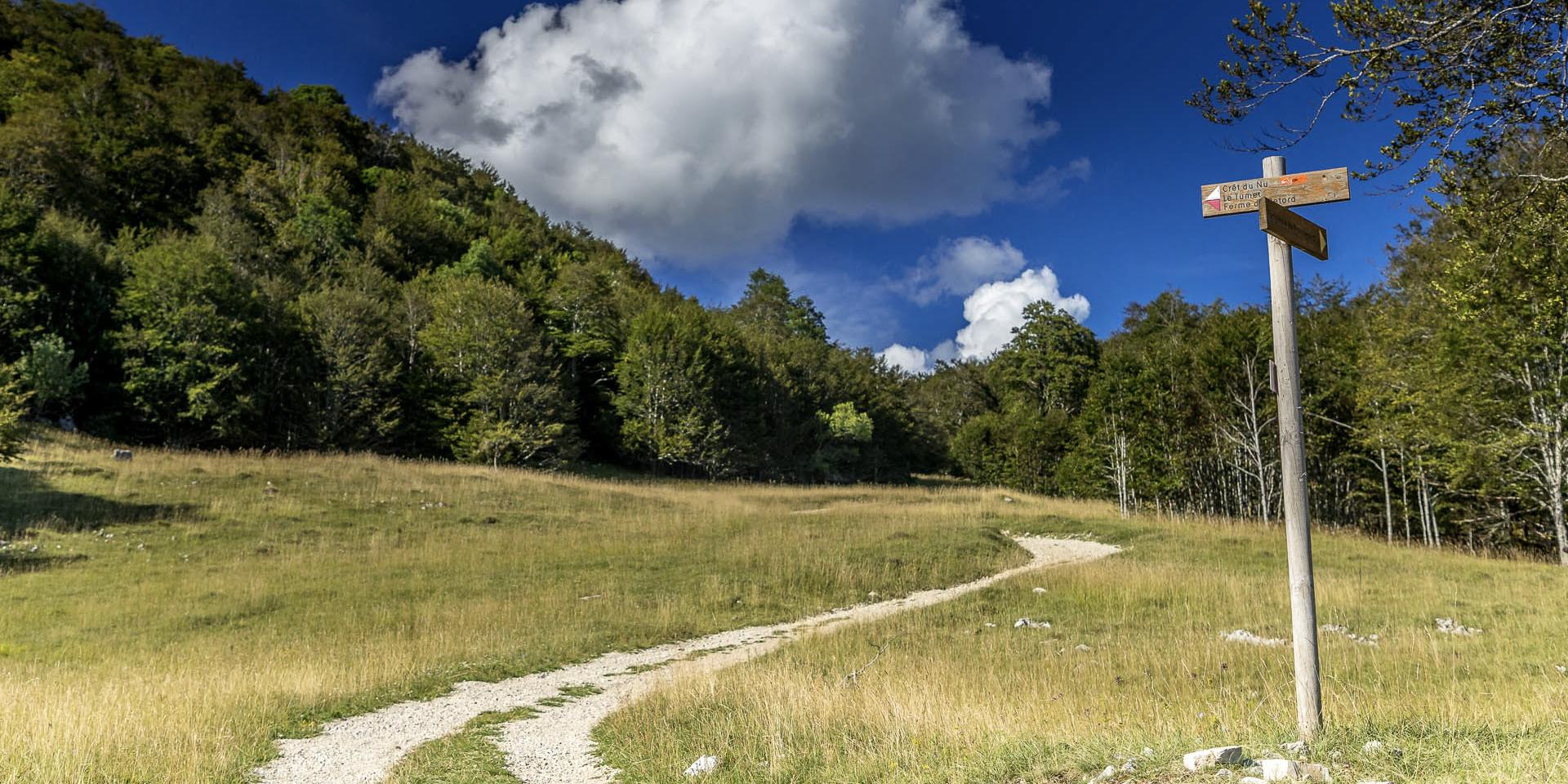 Plateau de Retord
