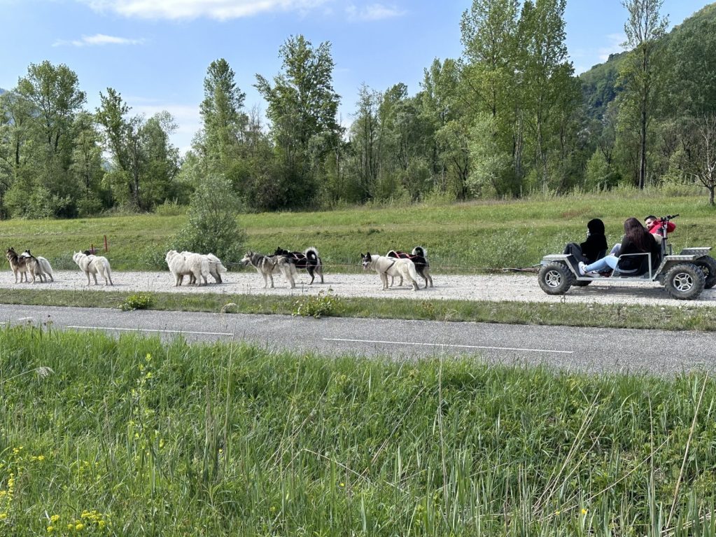 Au coeur des loups