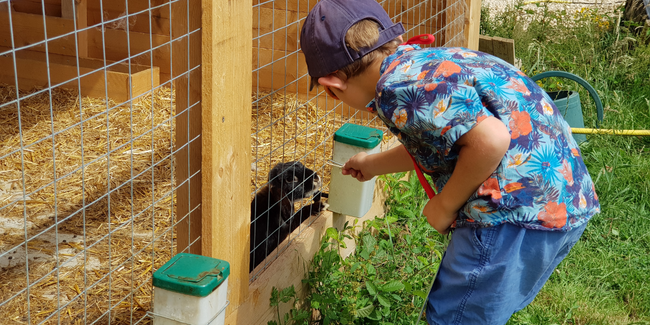 Ferme Découvertes les 2 cocottes
