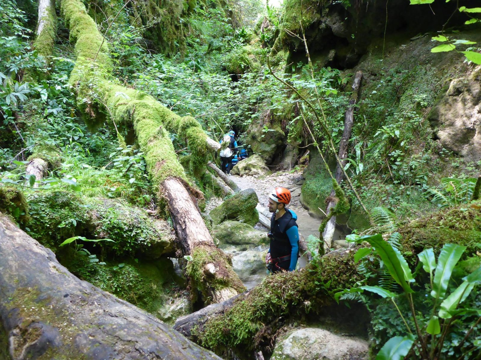 Taupe canyon