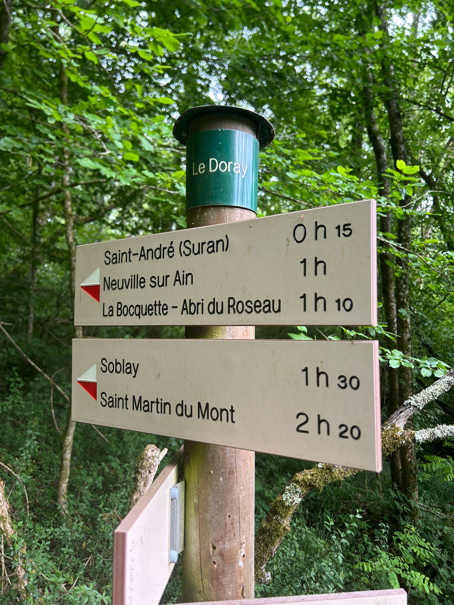 Balade en foret