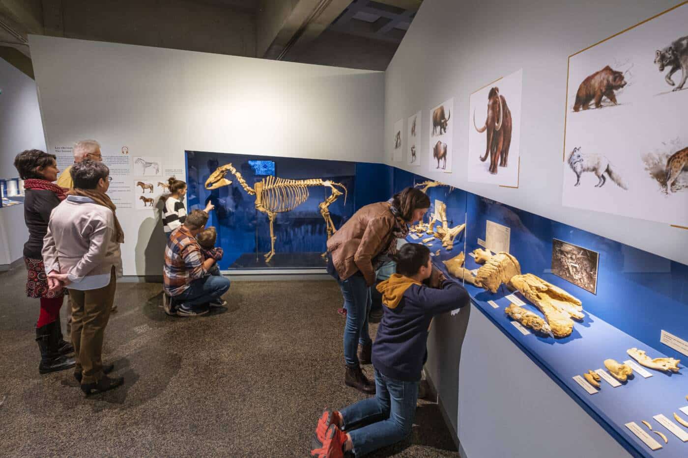 musée départemental de préhistoire