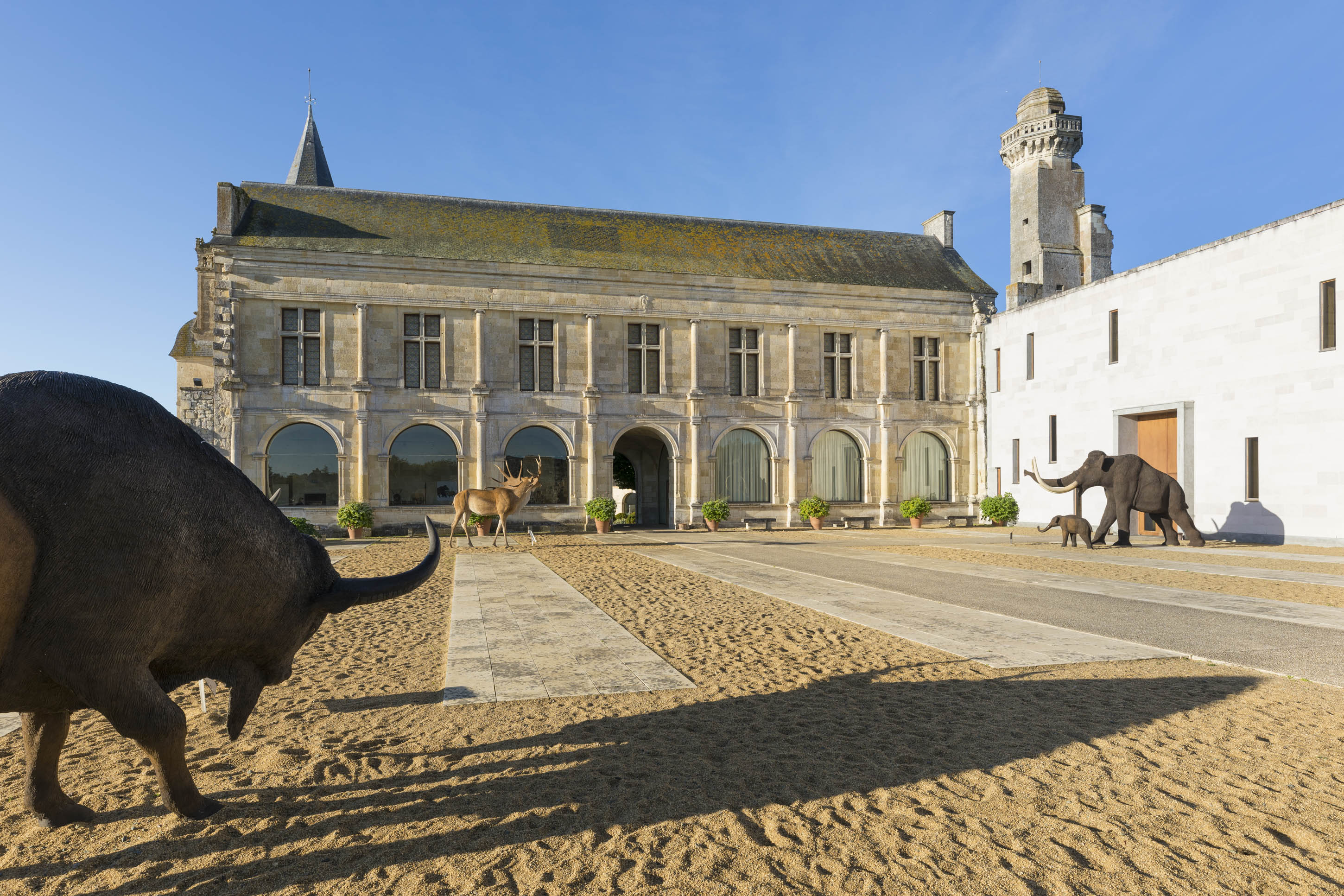 musée départemental de préhistoire