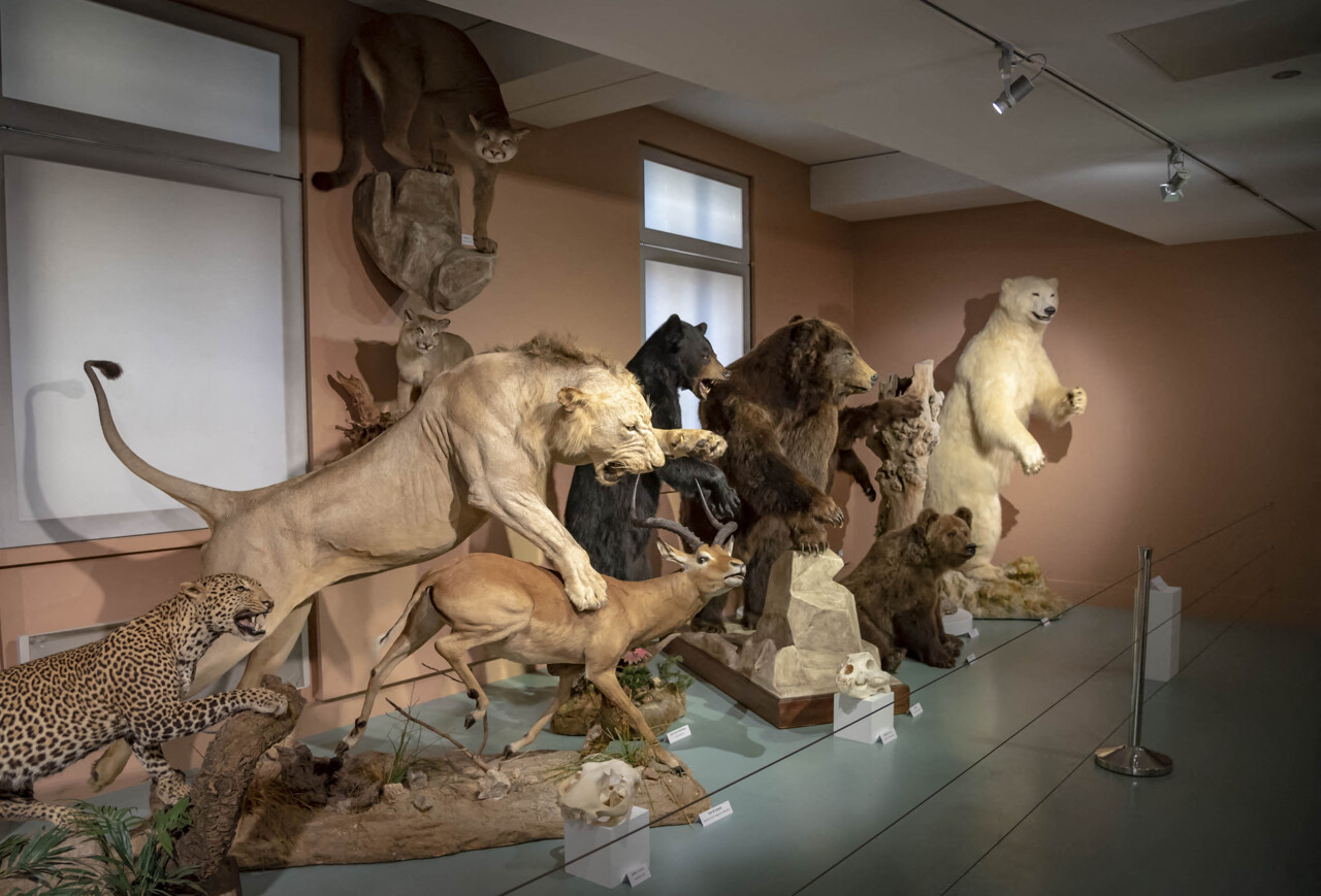Muséum d’Histoire naturelle