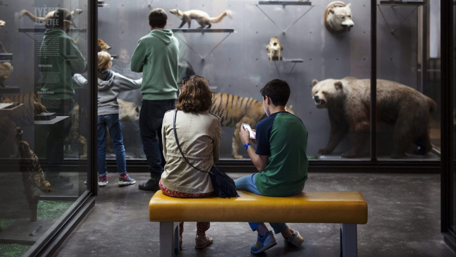 muséum-aquarium de Nancy