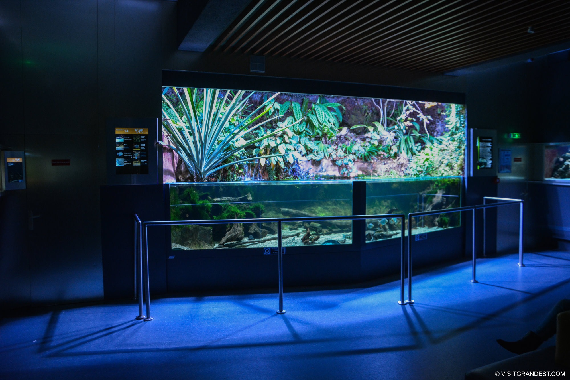 muséum-aquarium de Nancy