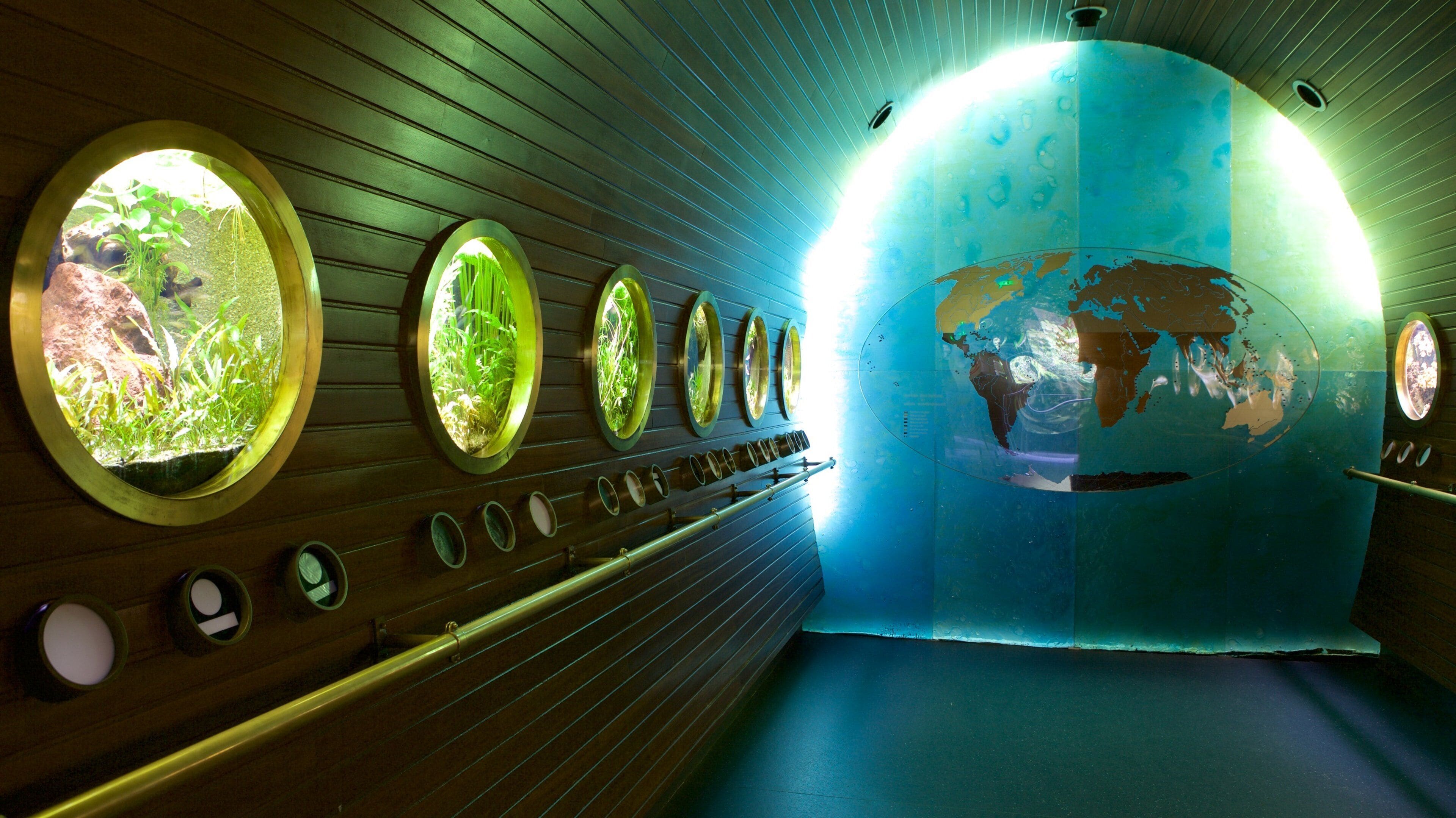muséum-aquarium de Nancy