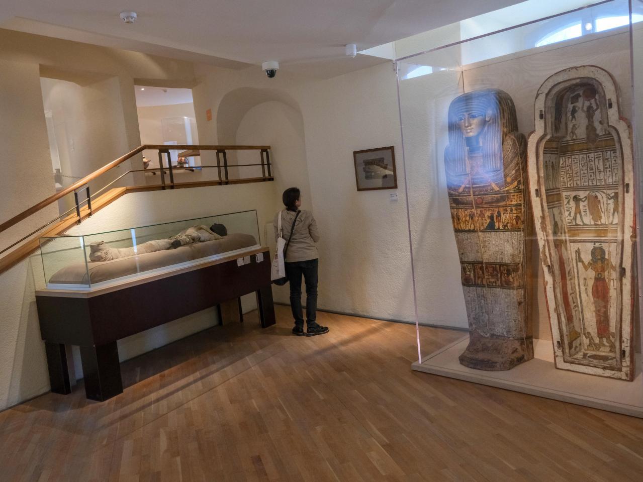 muséum d'histoire naturelle