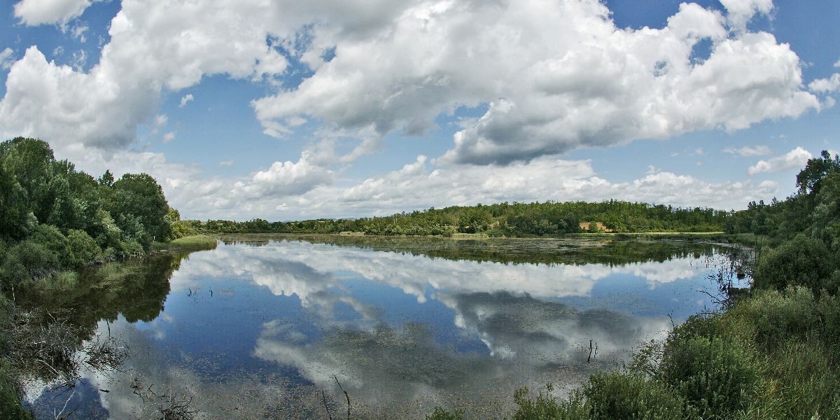 Espace Naturel Sensible de l'étang de Lemps