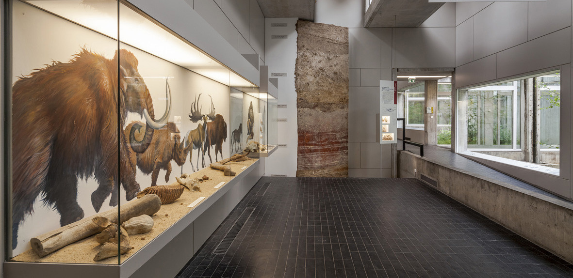musée de préhistoire d'Île-de-France