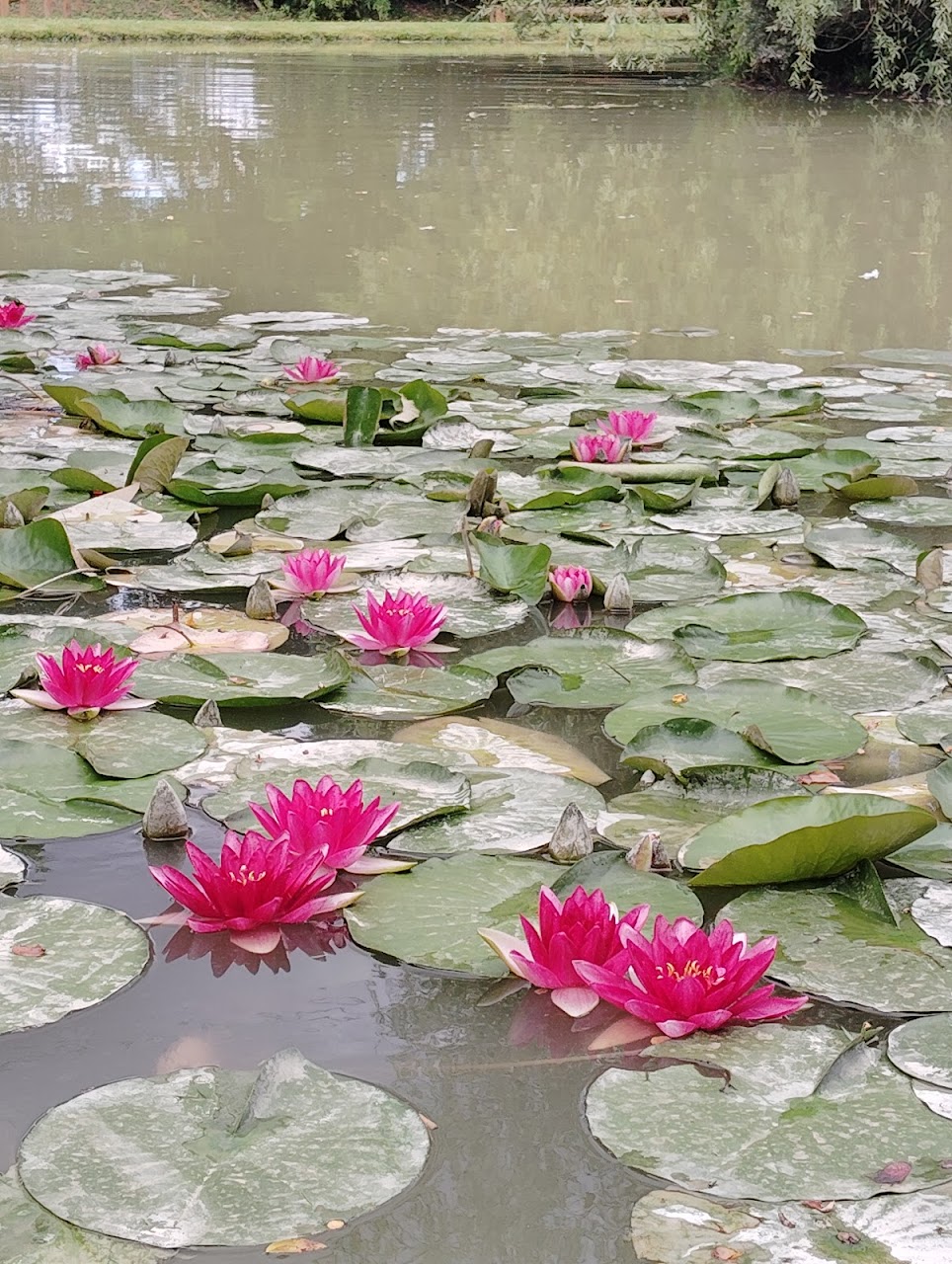 Plan d'eau Montvendre