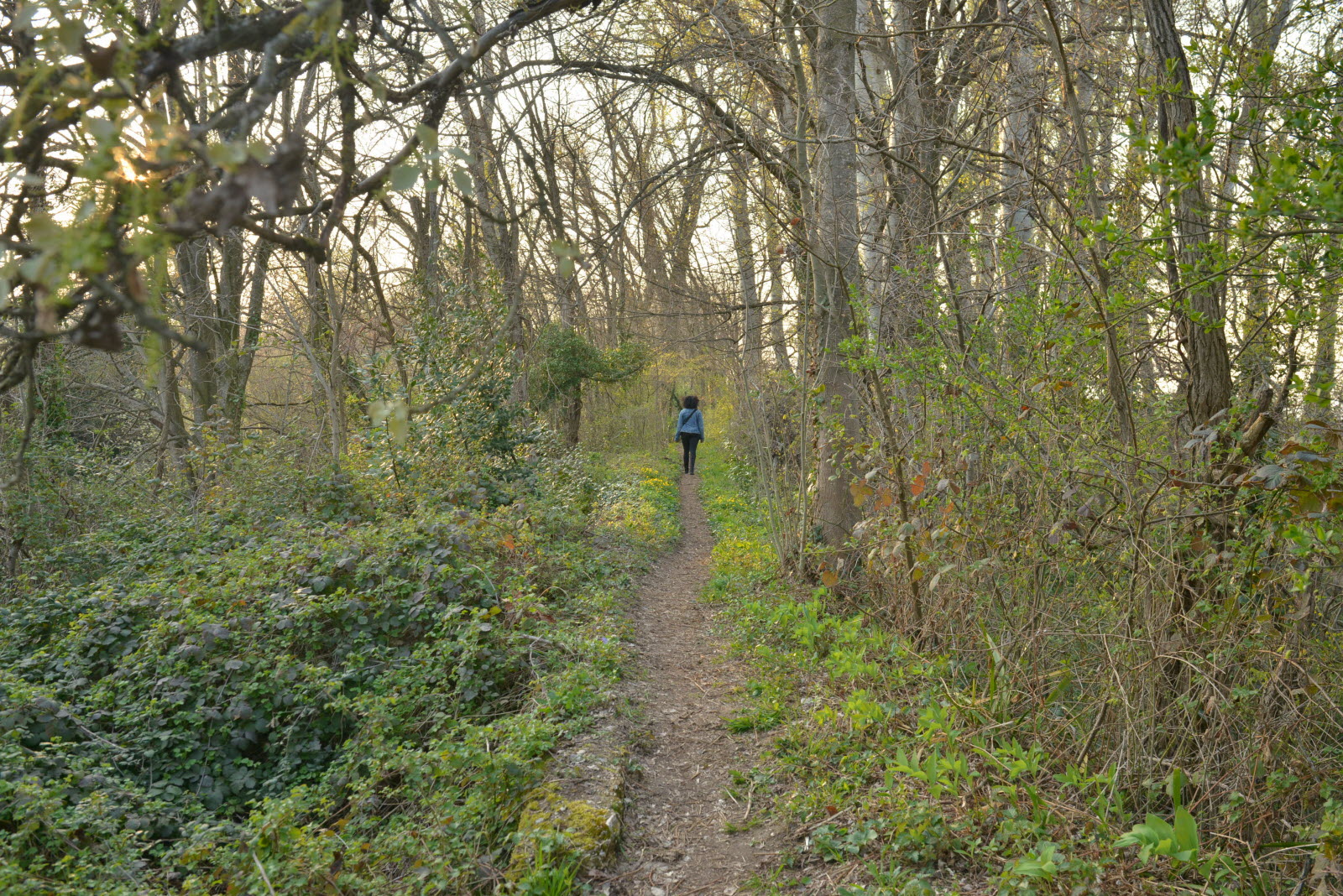 Sentier des deux renards