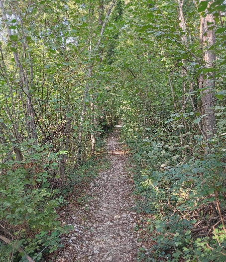 Sentier des deux renards