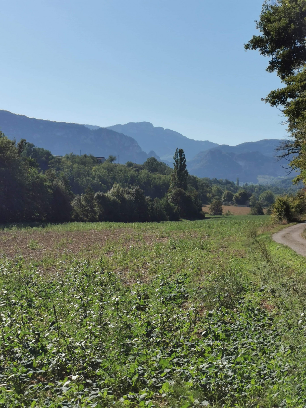 Col d’alexandre