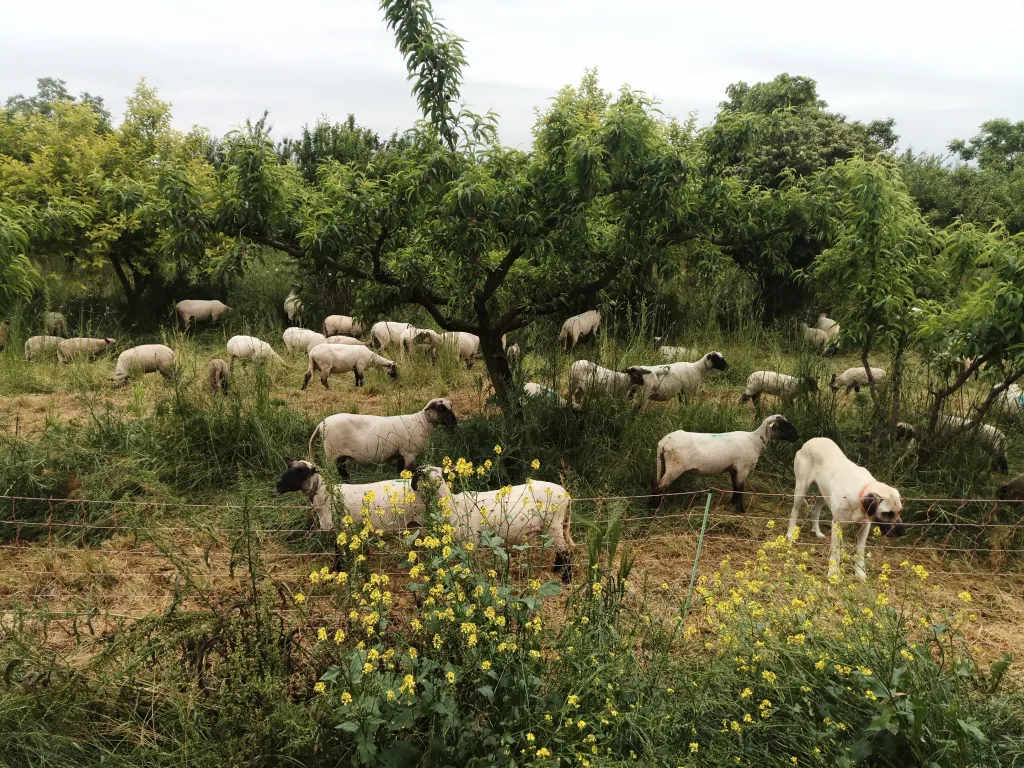 La Ferme du Grand Laval
