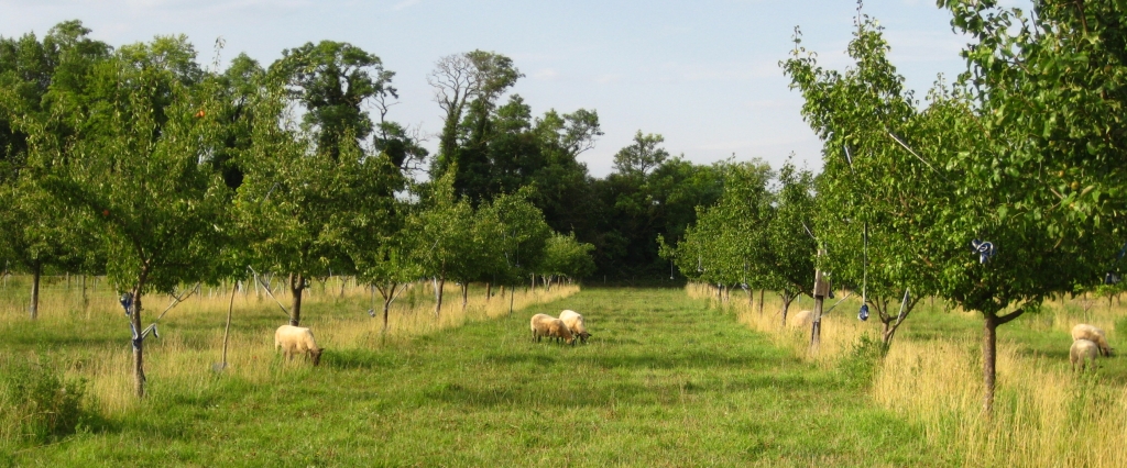La Ferme du Grand Laval