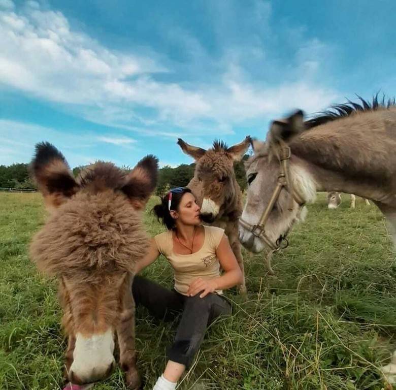 Ferme Juli'Anesse