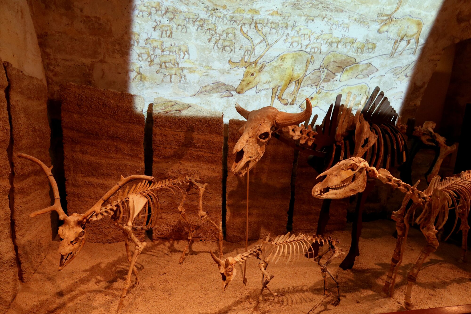musée d'angouleme