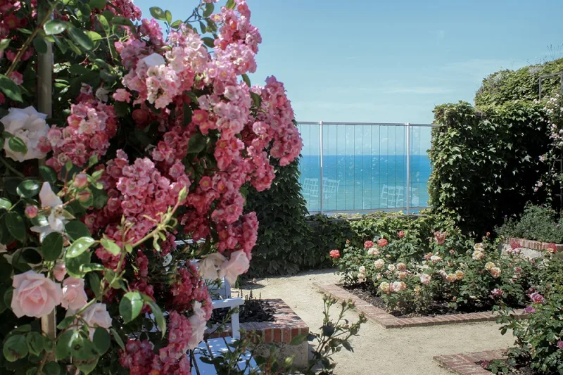 Le Jardin Christian Dior