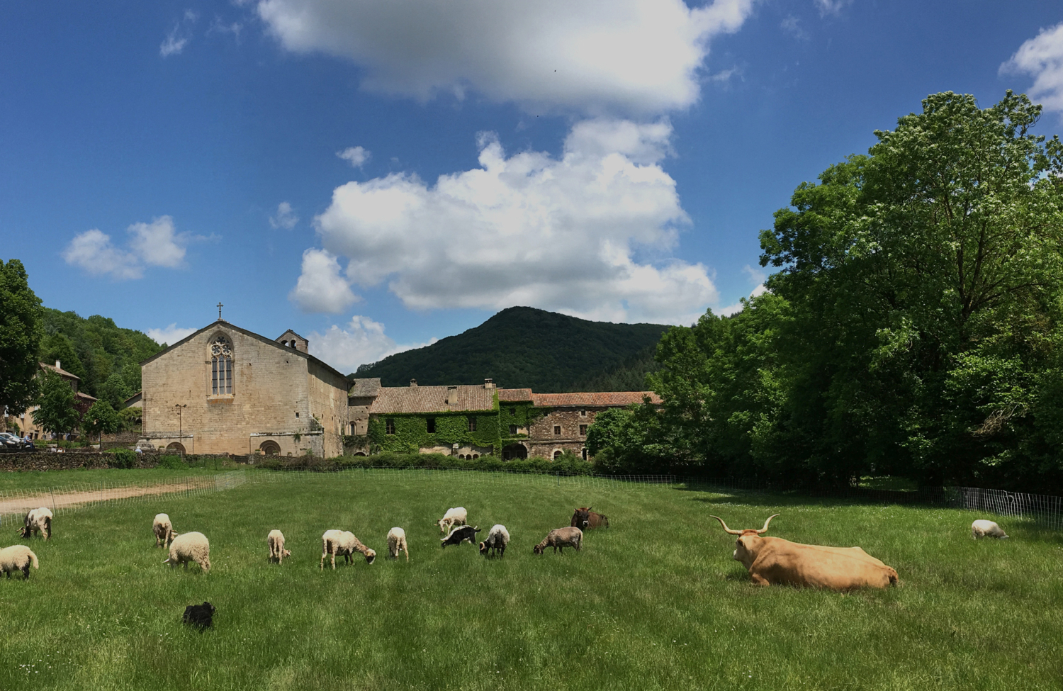 Abbaye de Sylvanès