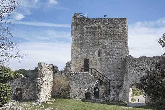 Château de Rochefort en Valdaine
