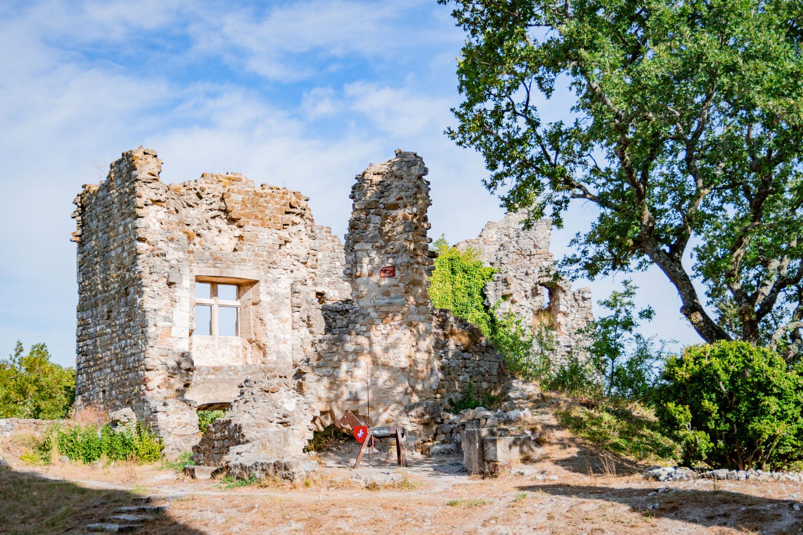 Château de Rochefort en Valdaine