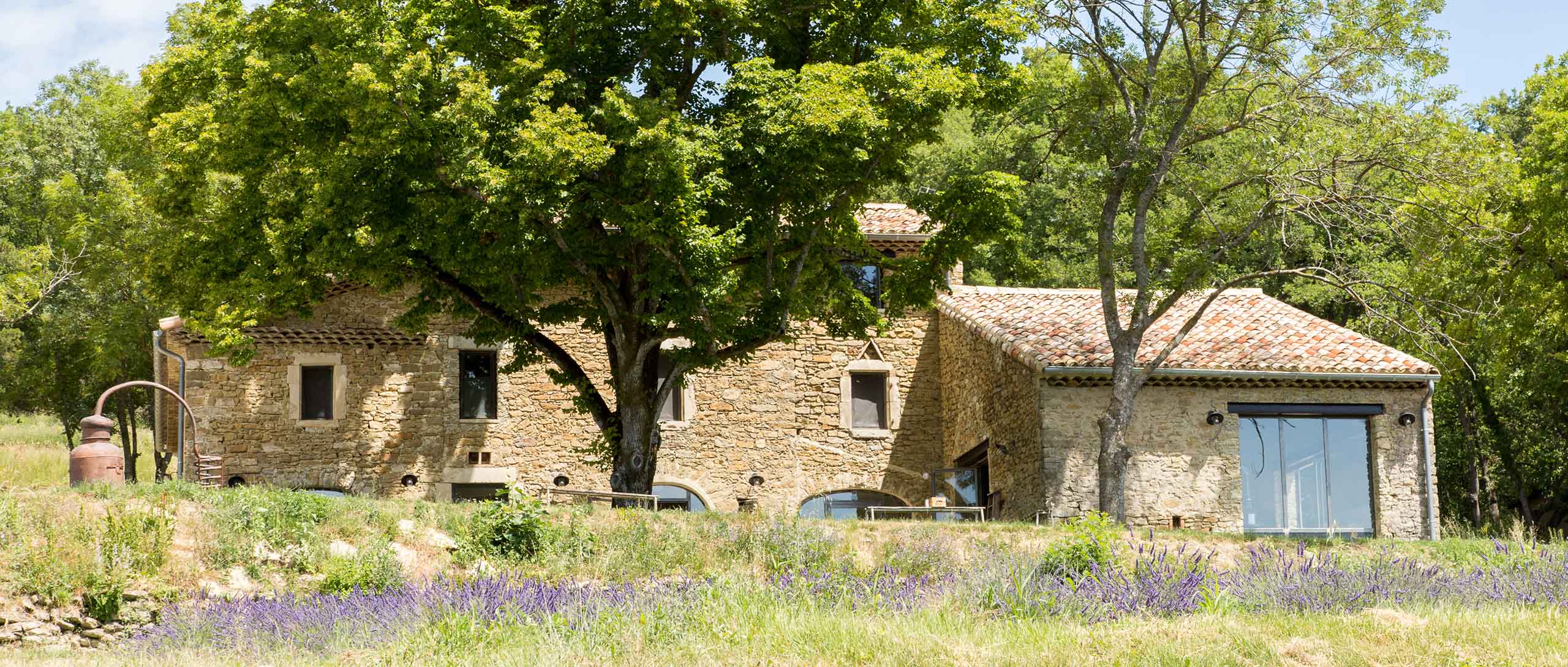 L'essentiel de Lavande