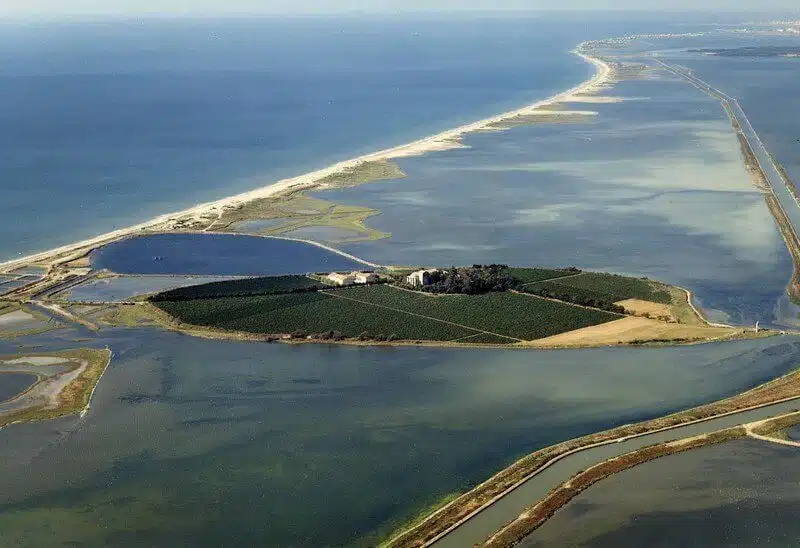 Presqu'île de maguelone