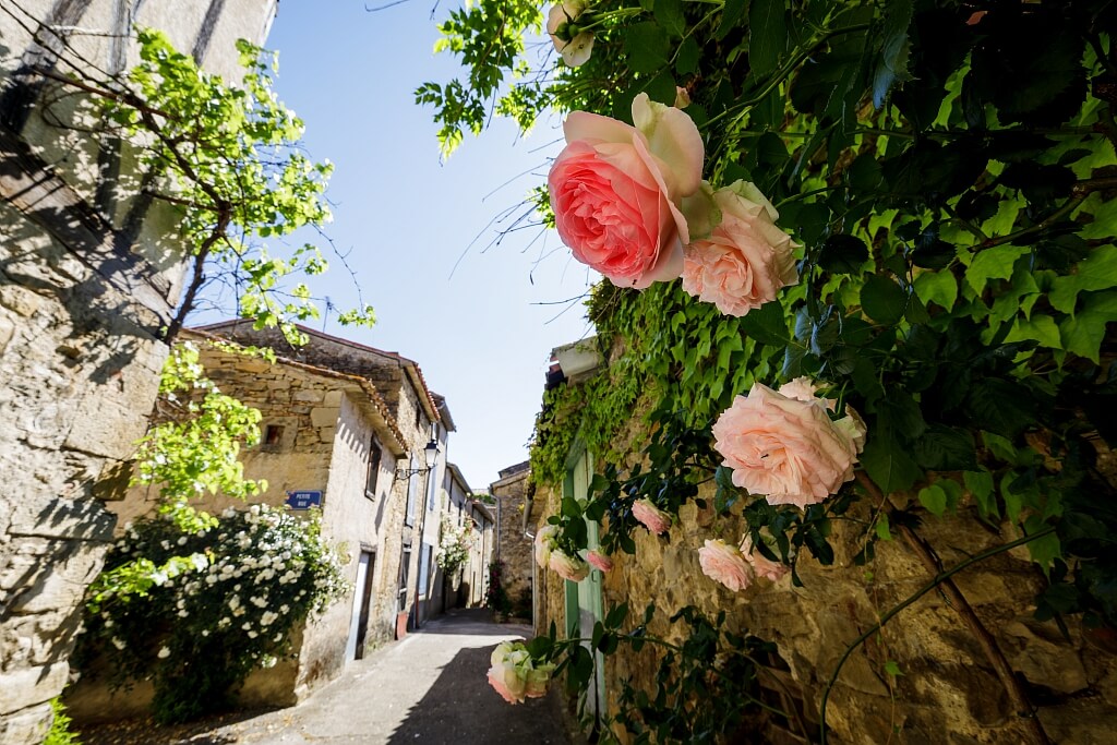 Camon,  village fortifié