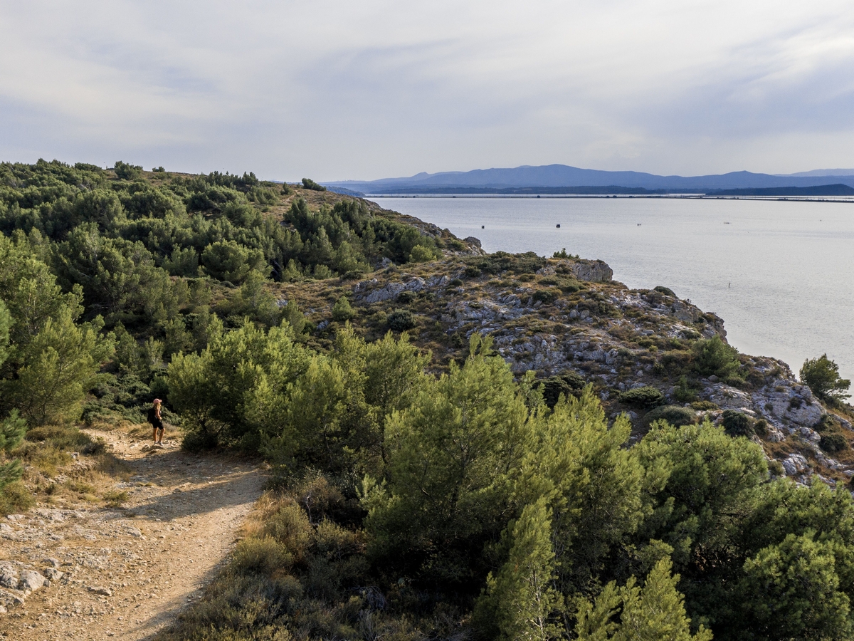 Les goules