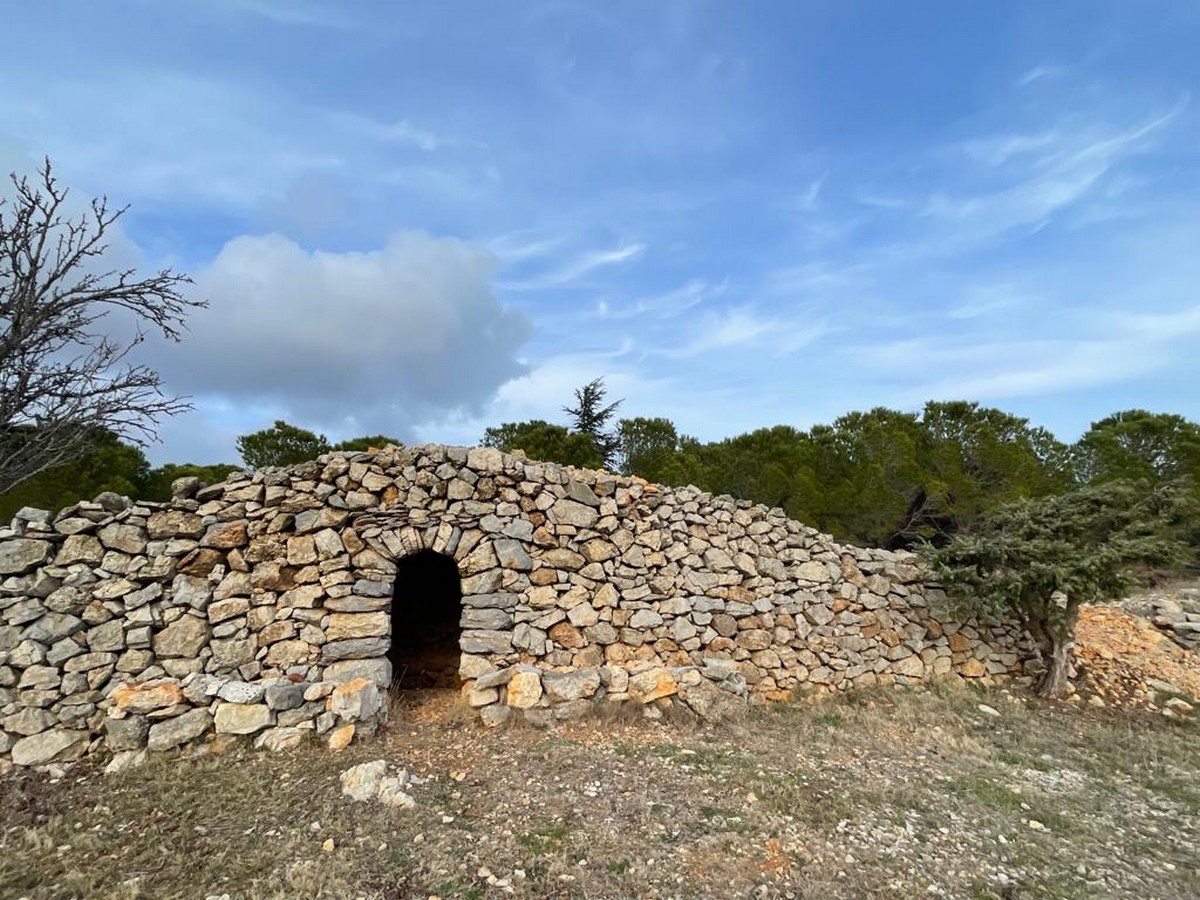 DE LA GARRIGUE AU VIGNOBLE